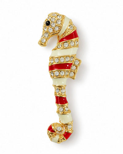 New seahorse fish ocean world - new,