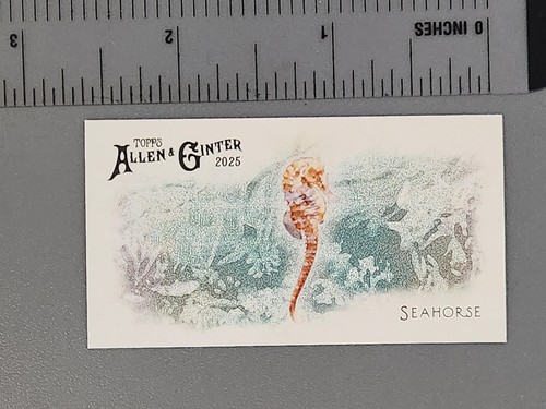 2025 topps allen ginter - 2025,